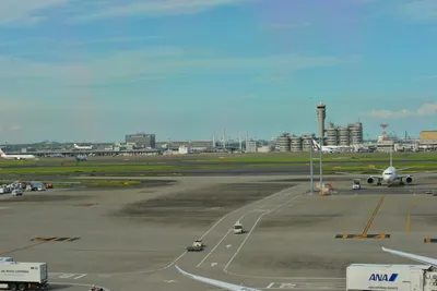 DSC_4060 (Large).JPG